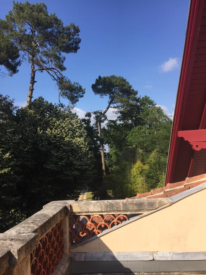 13620104_10153865085786799_8293143048796400030_n