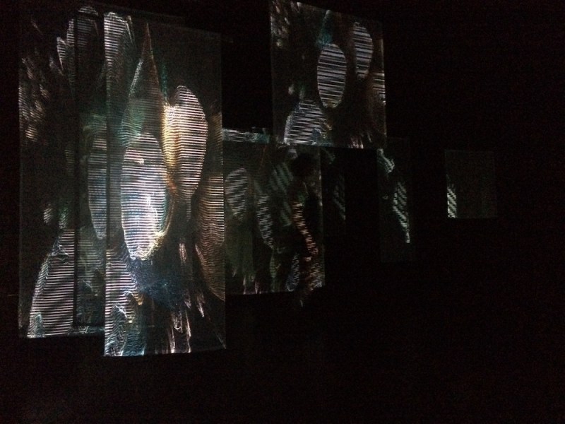 7da22411-5bba-48d9-a699-7dba7466e537